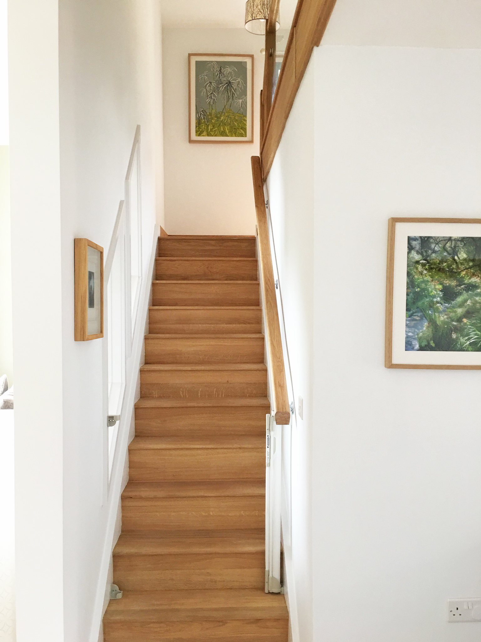 Stairs showing stairgate.jpg